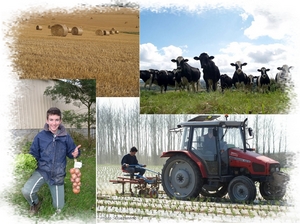 mfr ireo de lesneven formations agricoles - Finistère - 29