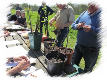 bpa horticole formation adulte MFR Finistère 29