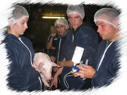 bpa porc formation adulte MFR Finistère 29