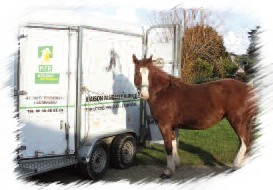 captav transport animaux vivants formation adulte MFR Finistère 29