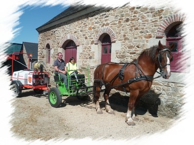 cs cheval formation adulte MFR Finistère 29