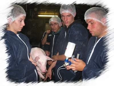 cs porc formation adulte MFR Finistère 29
